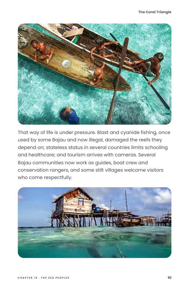 A page from The Coral Triangle