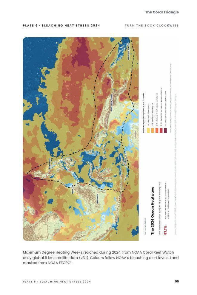 A page from The Coral Triangle