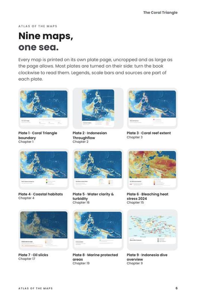 Preview page 6 of The Coral Triangle