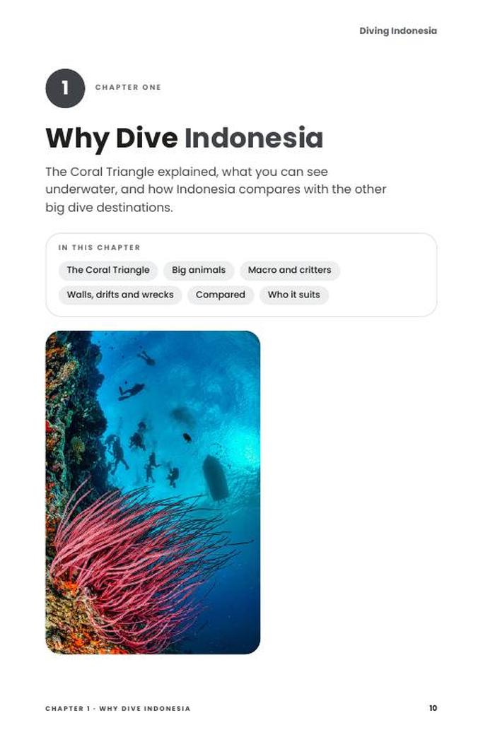 Preview page 10 of Diving Indonesia