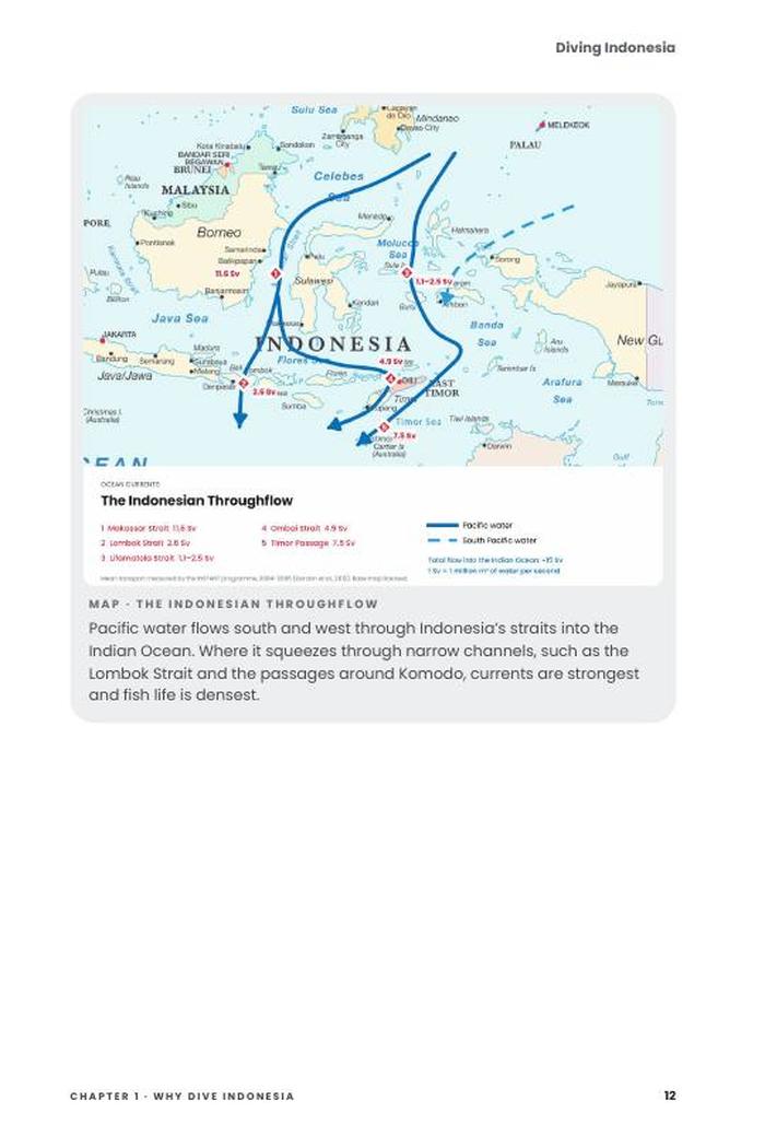 Preview page 12 of Diving Indonesia