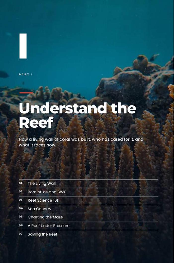 Preview page 18 of The Great Barrier Reef
