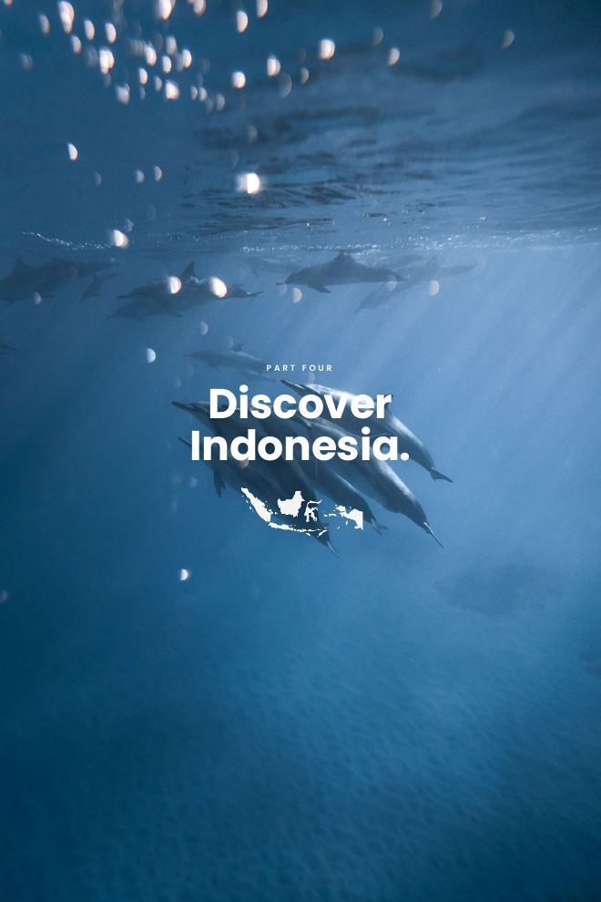 A page from Wakatobi National Park