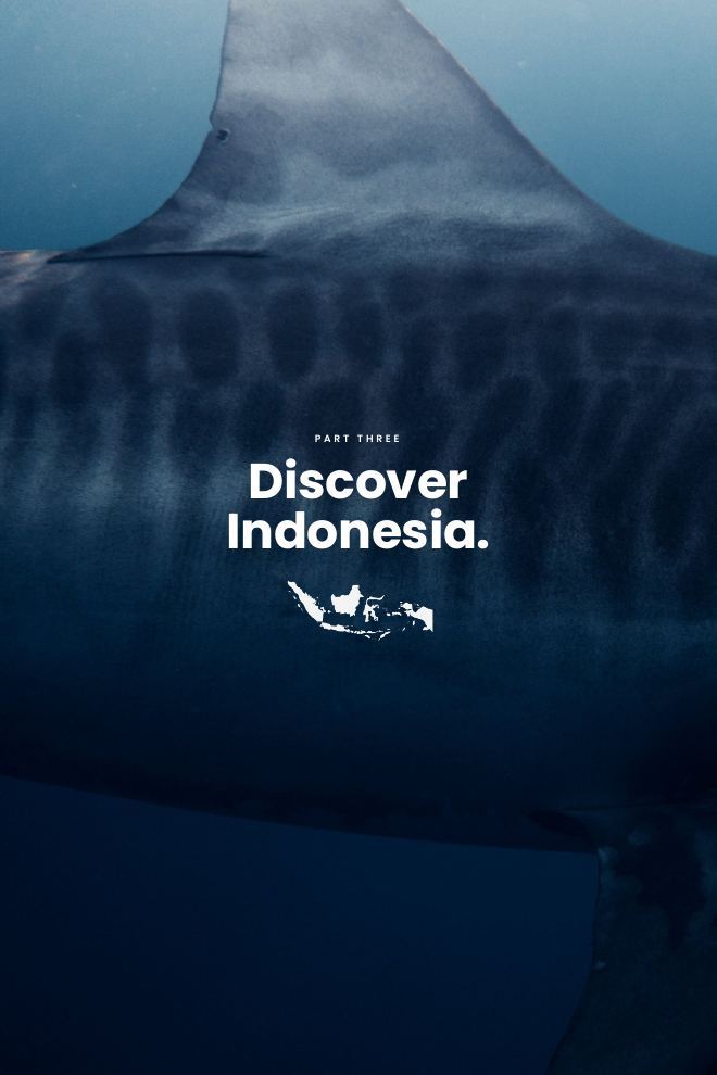 A page from Wakatobi National Park
