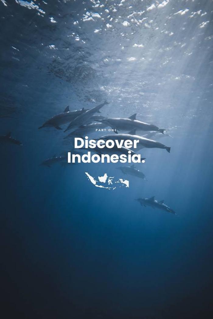 Preview page 10 of Wakatobi National Park