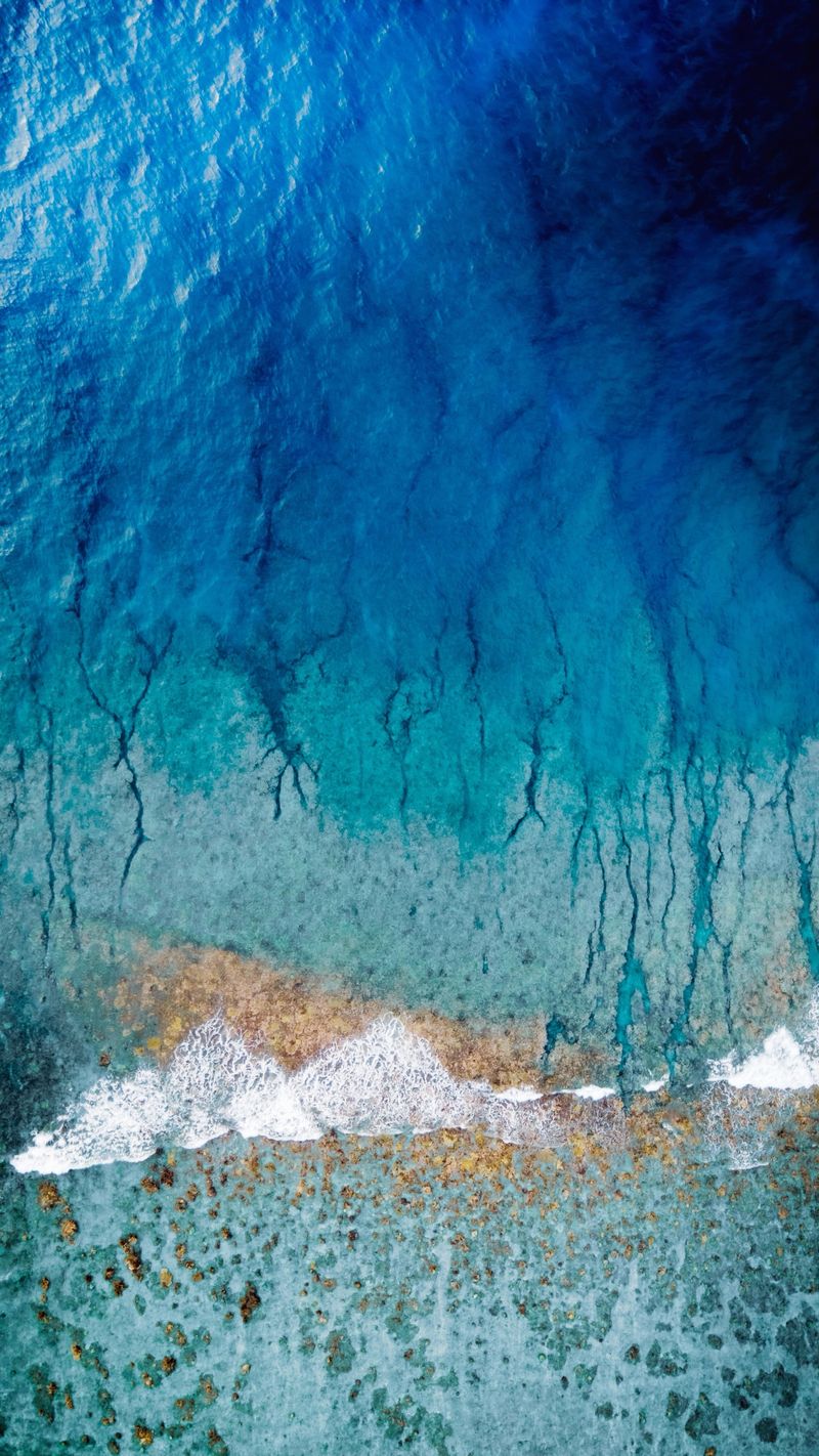 Aerial view of a coral reef edge and deep blue ocean