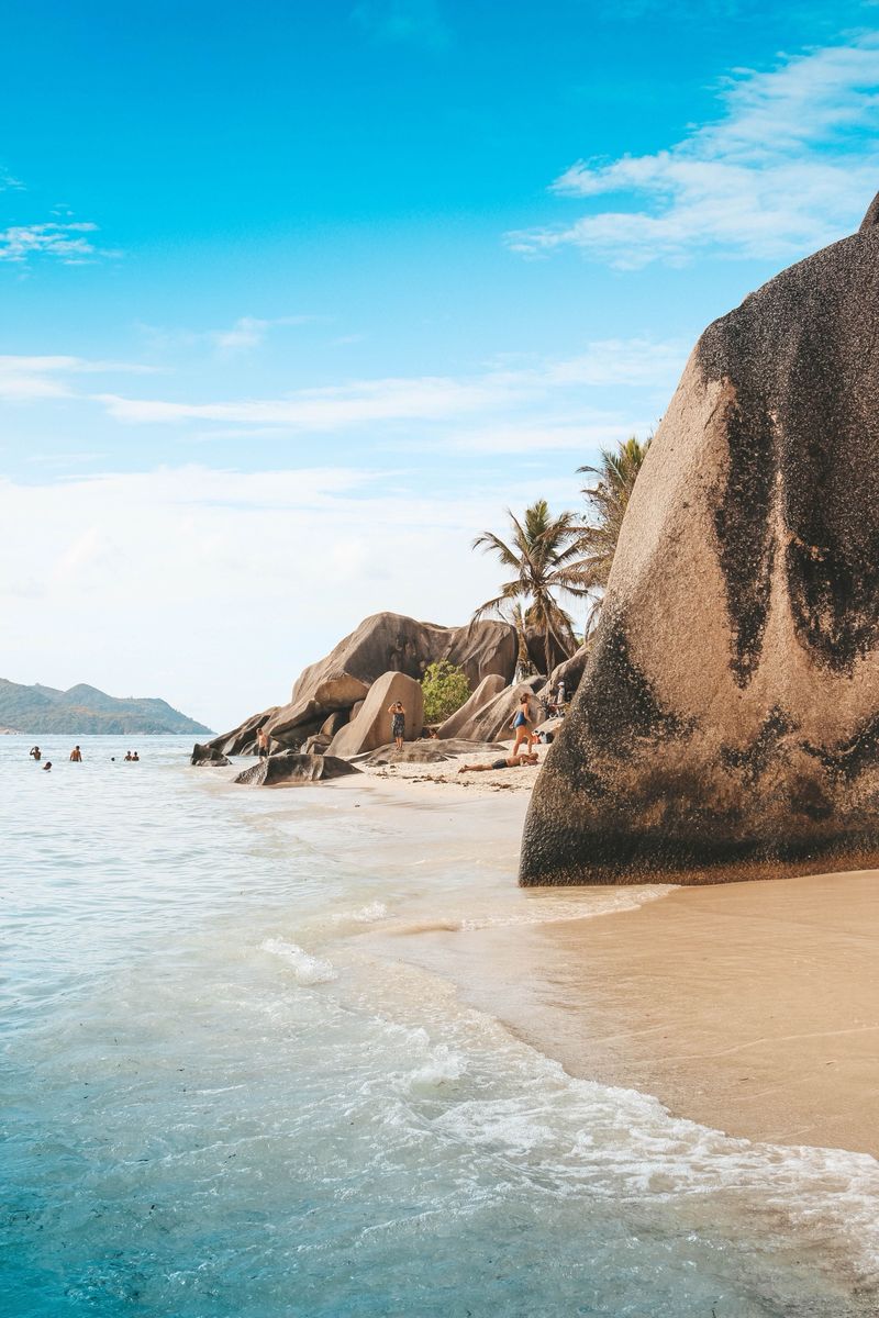 Granite boulders and palms on a Seychelles beach