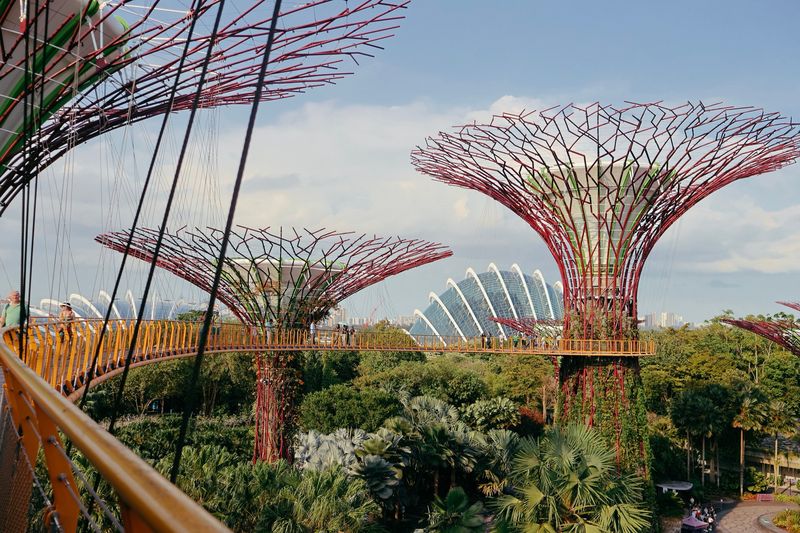 The Supertree Grove and skyway at Gardens by the Bay