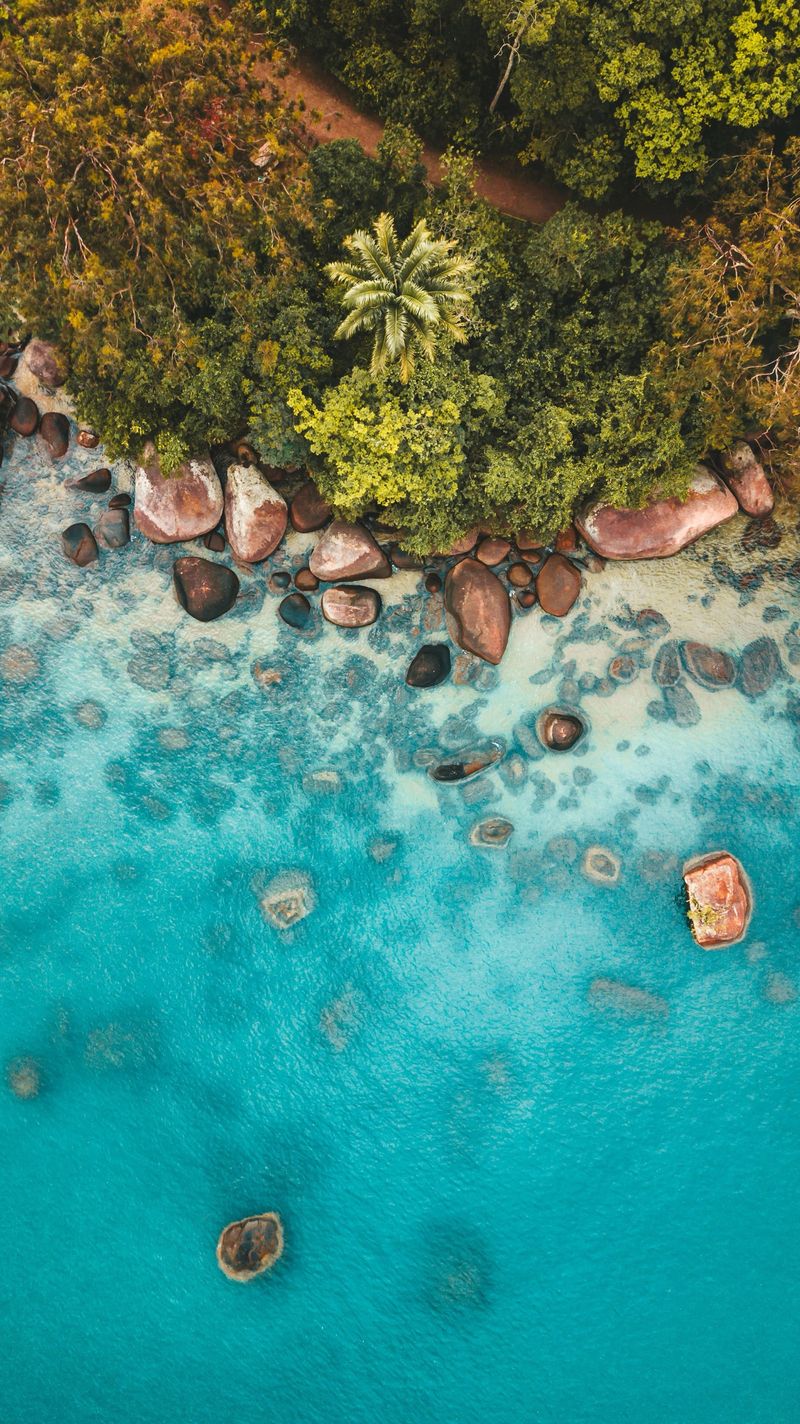 Granite coast, The tropics